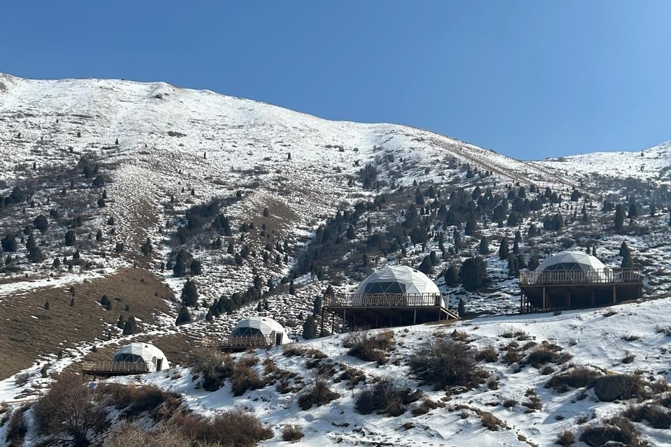Купол